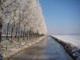 20090110Winter1