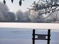 20090110Winter2
