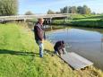 Cees ziet toe