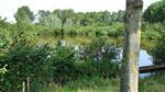 Uitslag Driekamp ESOX, Siog  en De Kleine Voorn 