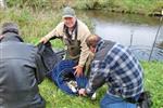 Uitslag Driekamp Kleine Voorn, ESOX en SIOG